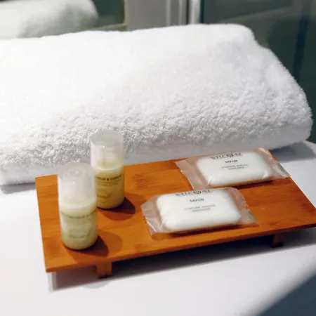 Hotel Le Manoir Orchies